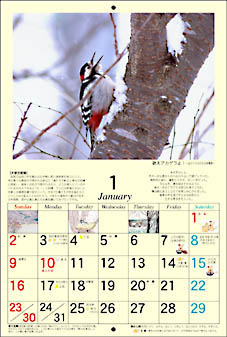 05年カレンダー 北国の小さな物語 各月 丘のうえの小さな写真館